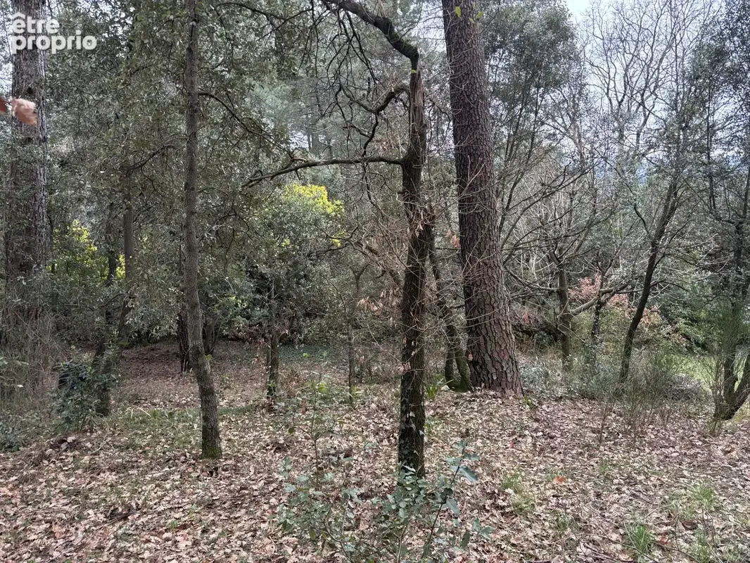 Terrain 1 292 m² à vendre à Ucel (07200) - photo 3