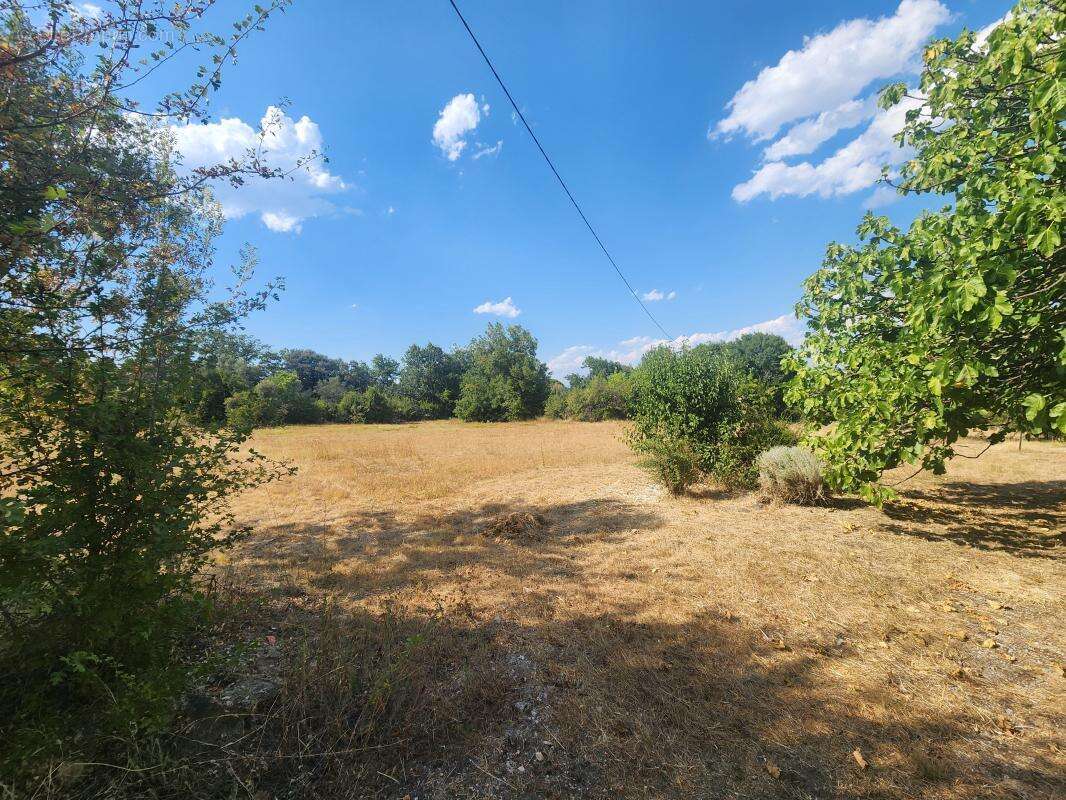 Mas RIBAUTE LES TAVERNES avec terrain plat de 11000 m² - photo 12