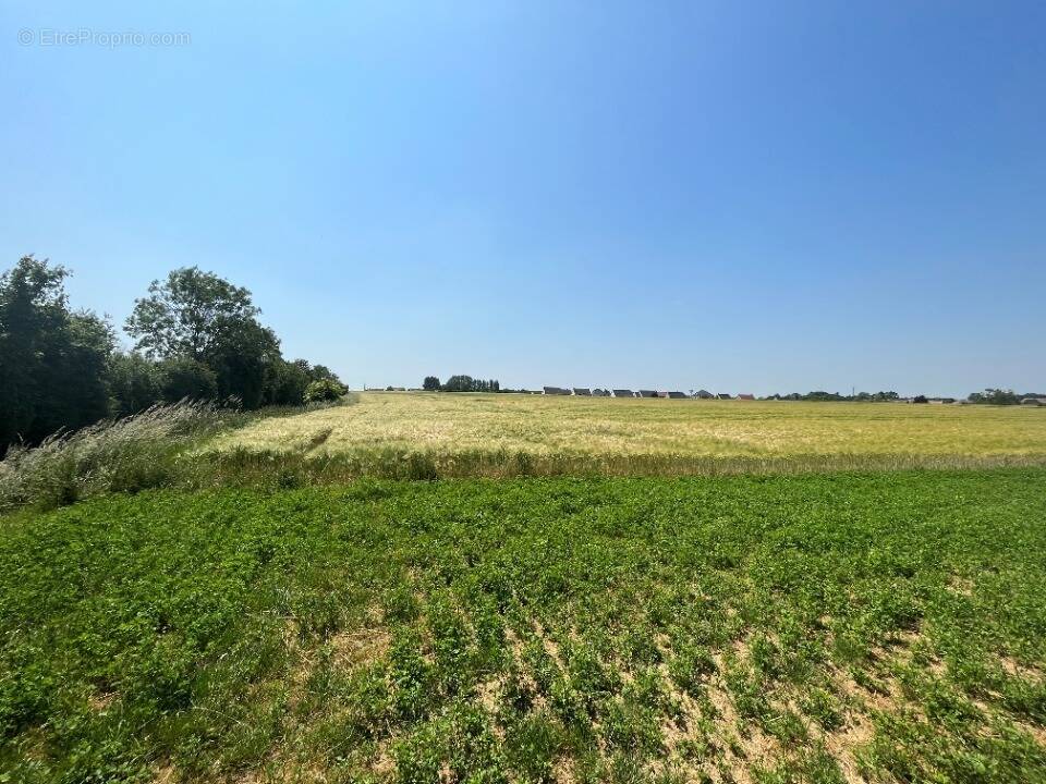 Terrain à WAILLY