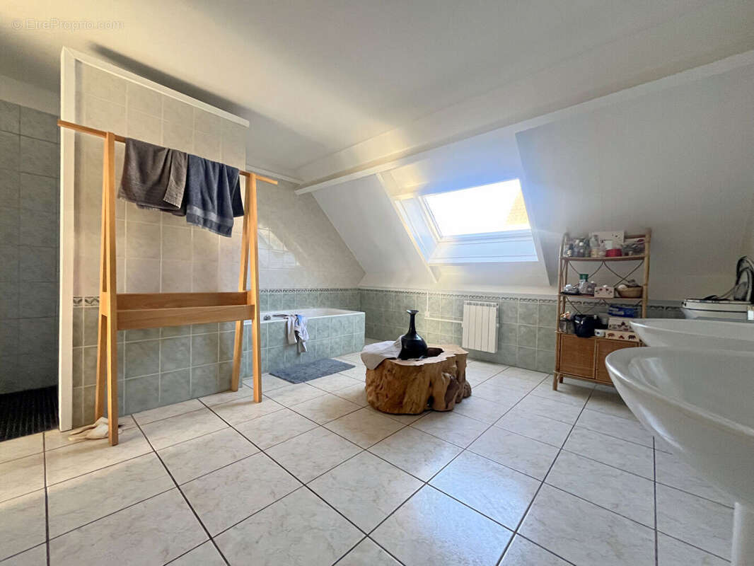 LA DRENNE : Propriété d'exception avec deux habitations, dépendance et terrain de 1,5 hectares - photo 11
