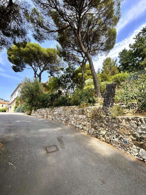 Propriete aux portes de monaco - photo 12
