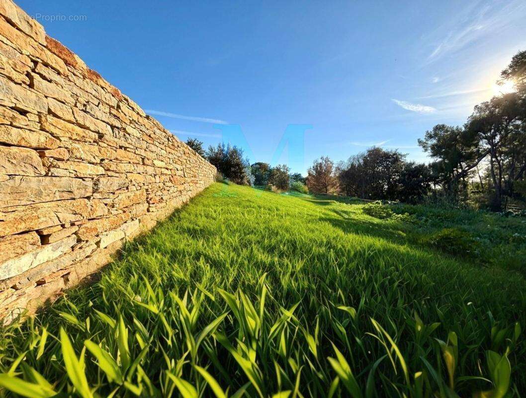 La Cadière-d’Azur À quelques minutes des plages : Magnifique maison de plain-pied de 177 m², lumineuse et sans vis-à-vis - photo 17