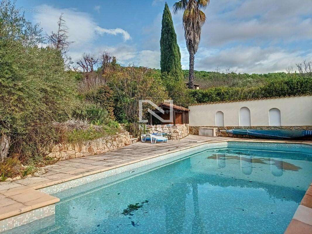 Magnifique villa provençale, piscine dans beau jardin méditerranéen - photo 6