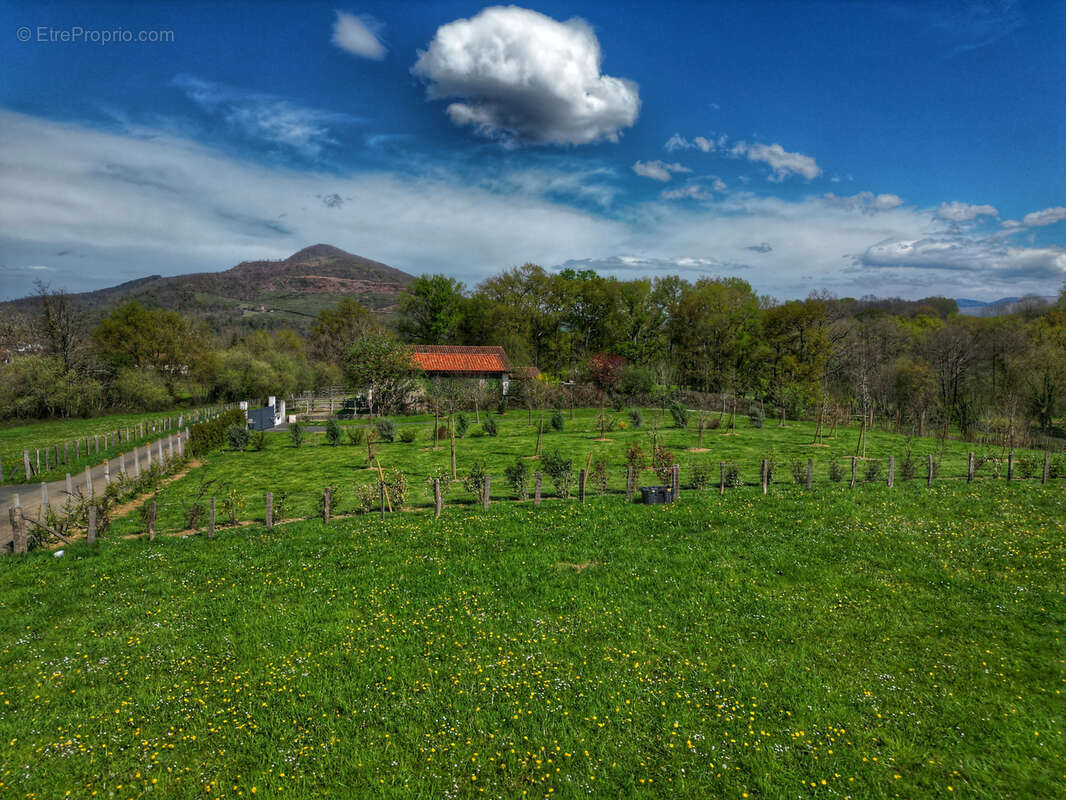 Maison à SAINT-JEAN-PIED-DE-PORT