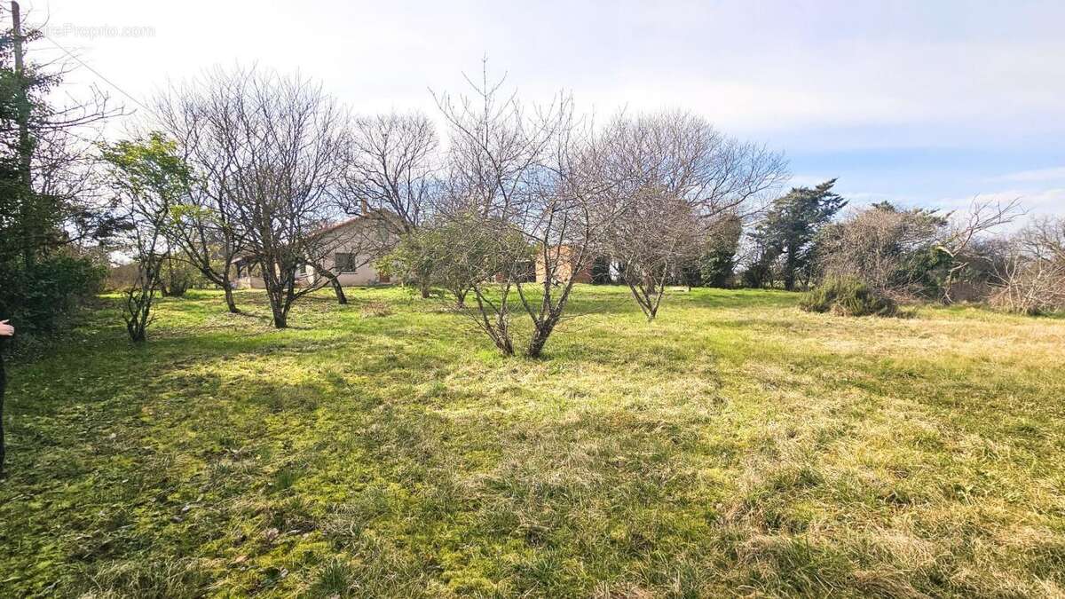 Maison à MONTPEZAT-DE-QUERCY