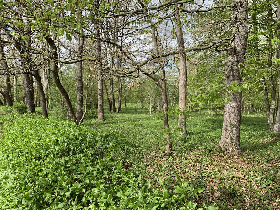 Magnifique terrain de loisirs arboré au bord de l'Eure ! à 2 mn d' Anet - photo 2