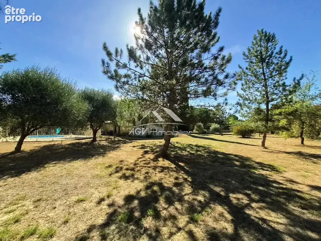 Maison trois chambres, avec piscine et 3884 m² de terrain - photo 17
