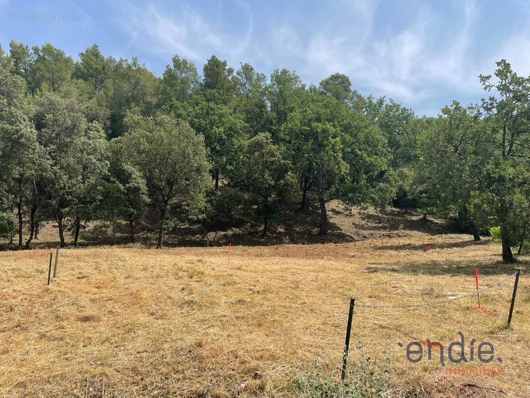 Terrain à TARADEAU