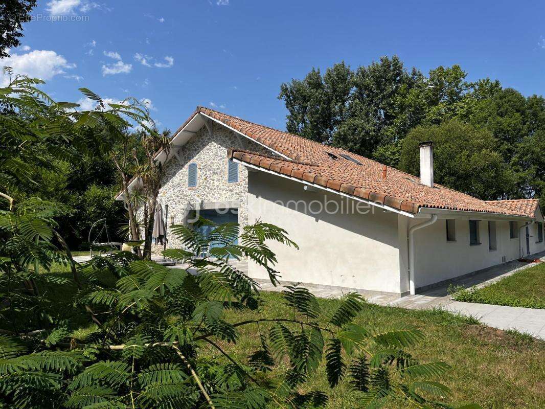 Exceptionnelle Ferme Landaise de 399 m² – Charme, Espace et Nature sur 6,7 hectares - photo 21