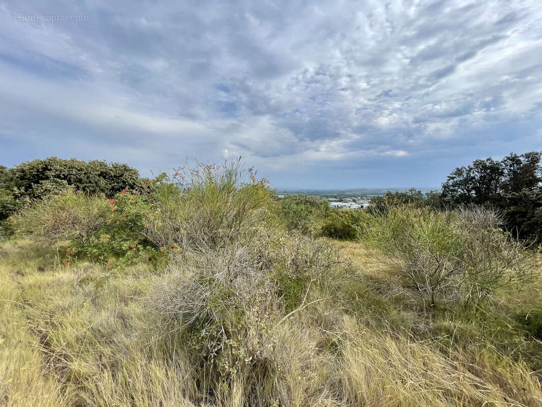 Terrain à SAINT-THIBERY