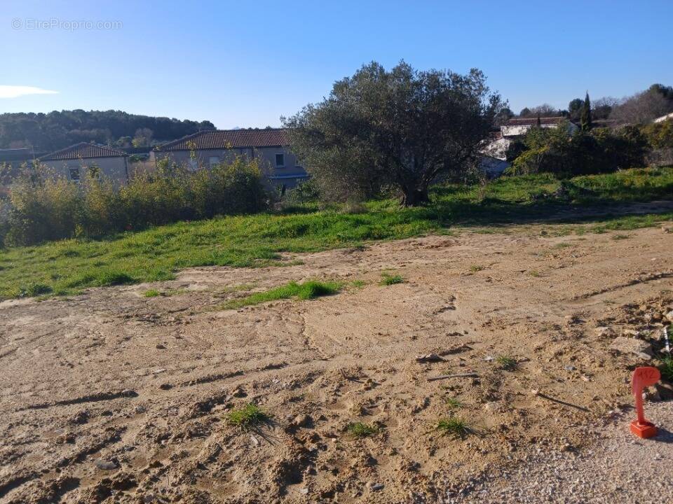 Terrain à MUS