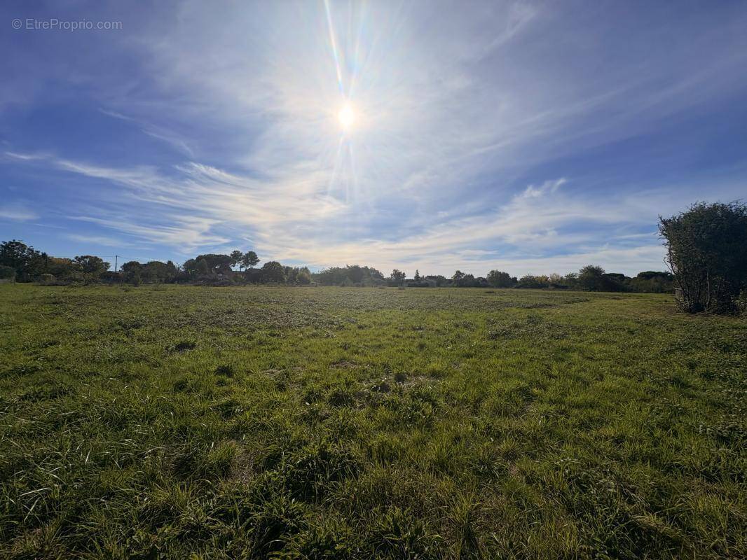 Terrain à MONBAZILLAC