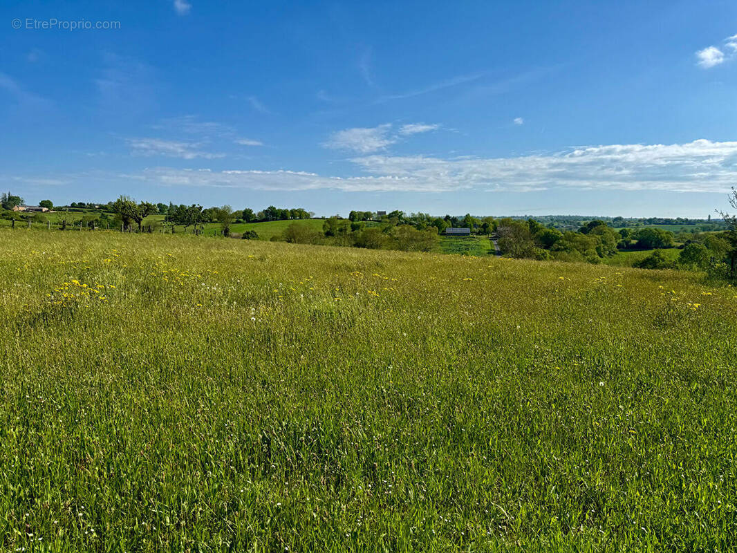 Terrain à SAINTE-JULIETTE-SUR-VIAUR