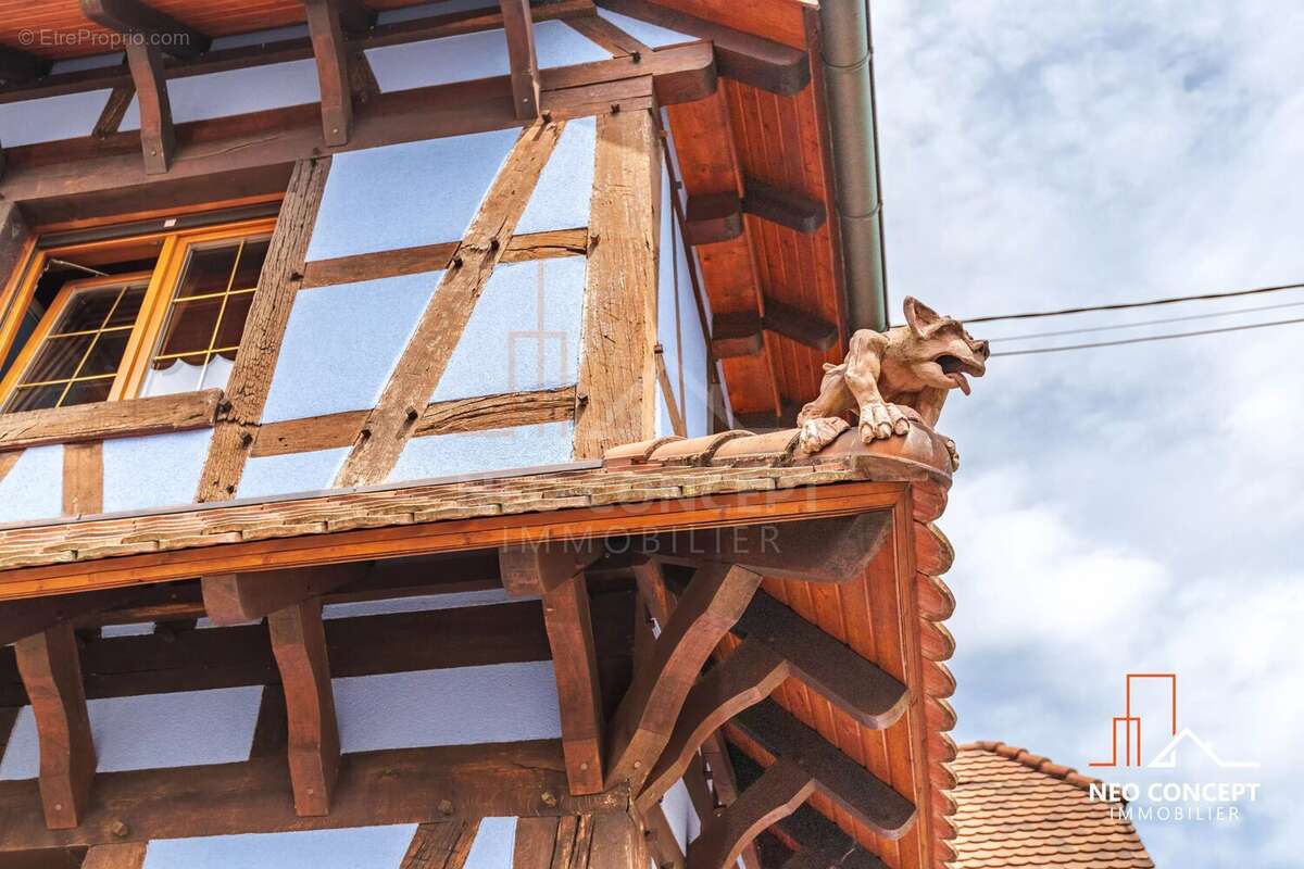 À vendre – maison de caractère avec piscine couverte – la wantzenau - photo 5