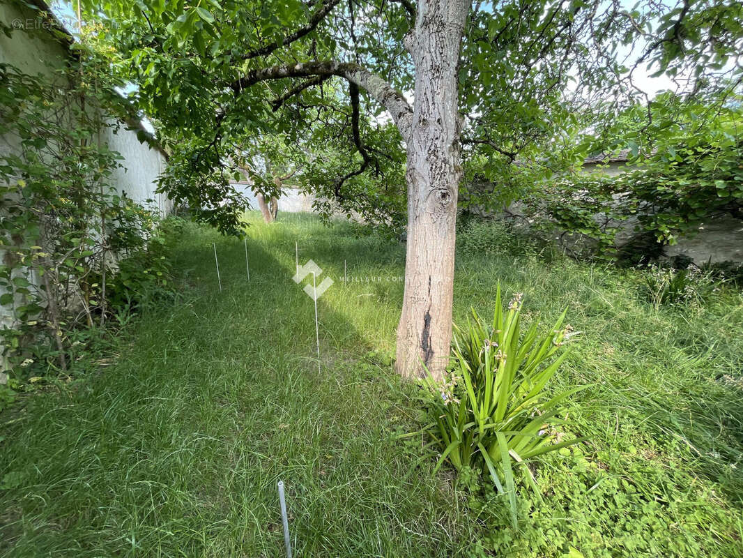 Maison 7 pièces 152 m² à vendre à Thomery (77810) - photo 5