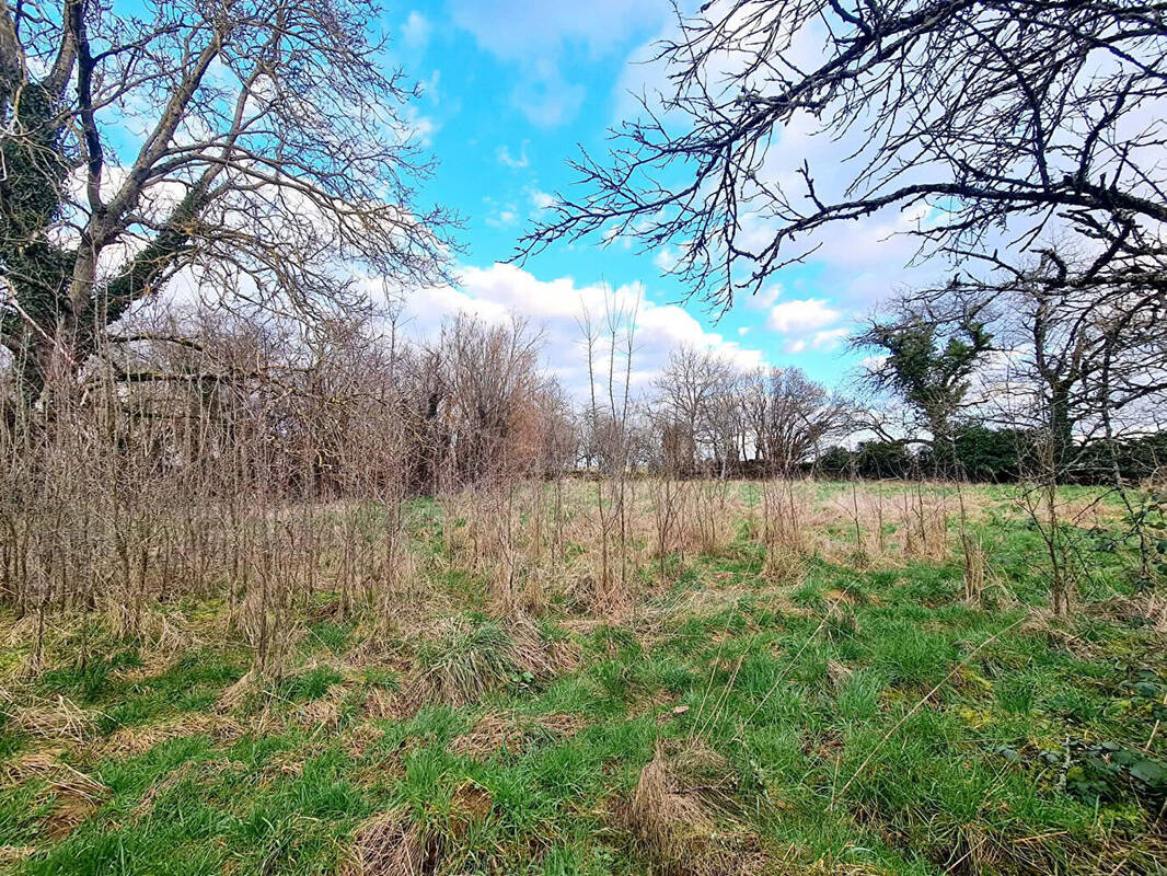 Terrain à SEMOUTIERS-MONTSAON