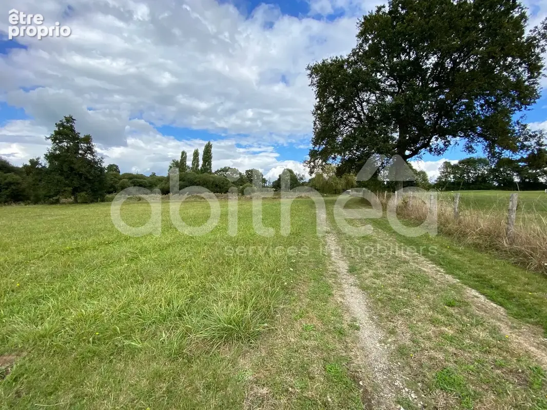 Terrain de loisirs avec 2 etangs - photo 14