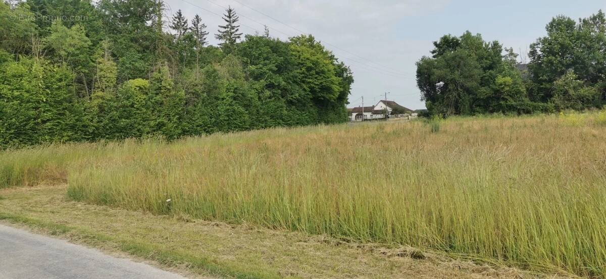 Terrain à SAINTE-MAURE