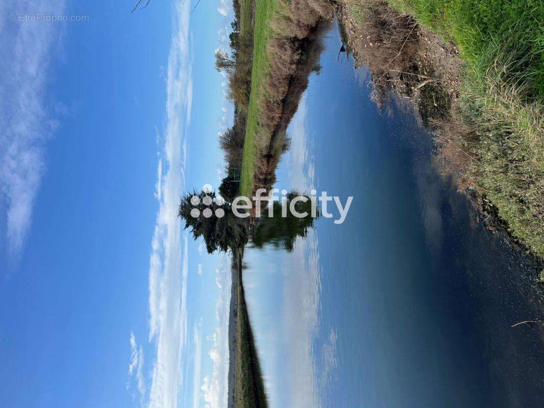 Terrain à L&#039;ILE-D&#039;OLONNE