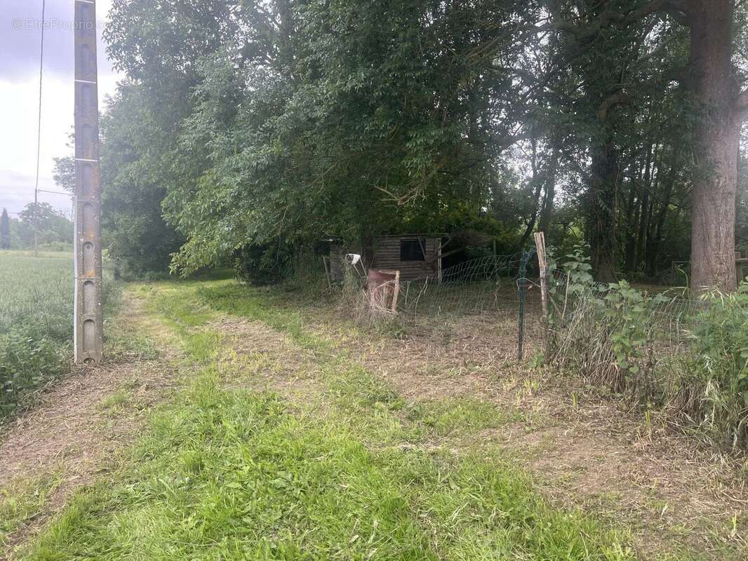 Terrain à VALDIVIENNE