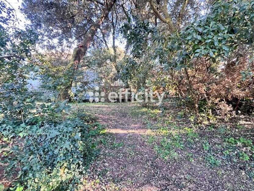 Maison à MESCHERS-SUR-GIRONDE