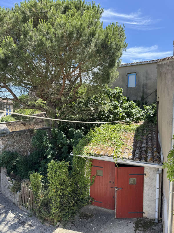 Maison à BELVEZE-DU-RAZES