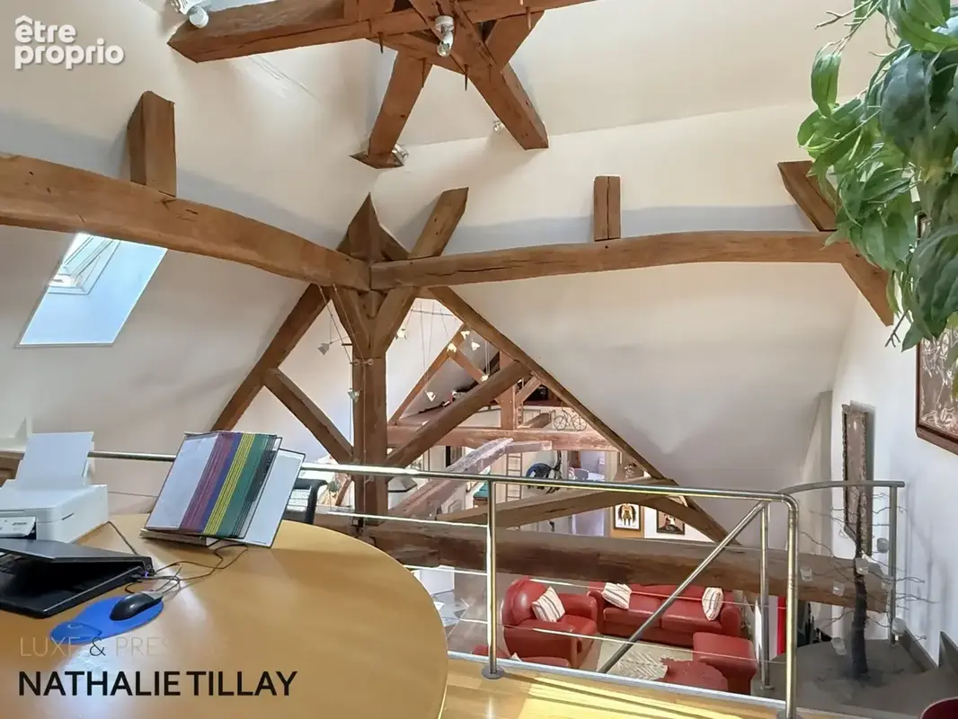 Appartement esprit loft, a vendre, Face Loire Orleans, dernier etage en hotel particulier - photo 14