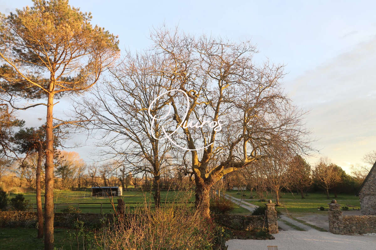 Maison à BLAINVILLE-SUR-MER