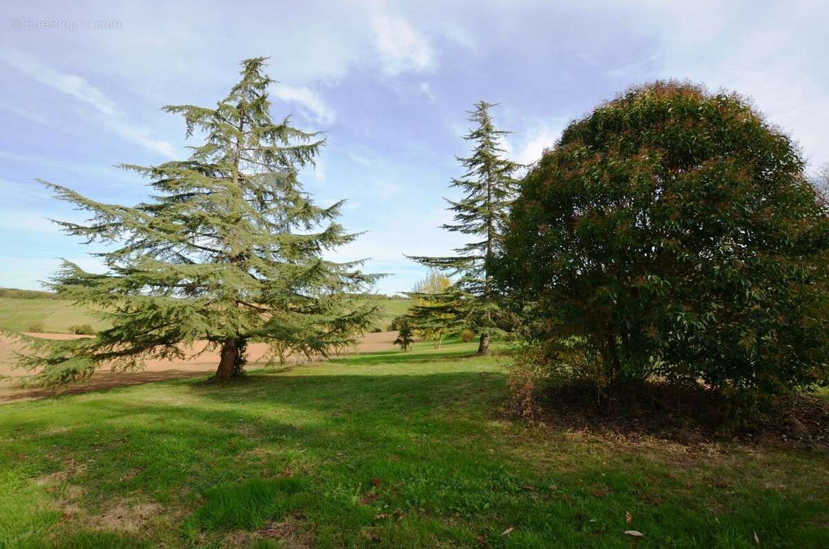 020 - Maison à MONTESQUIOU