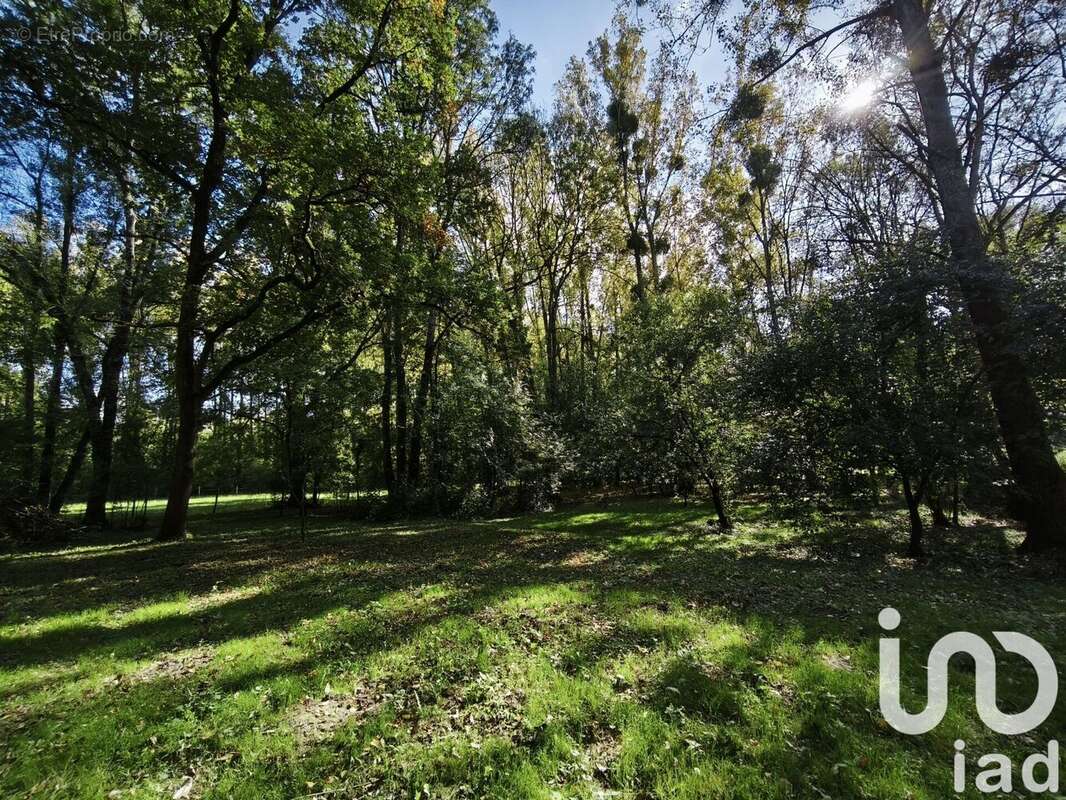 Photo 3 - Terrain à LA VERNELLE