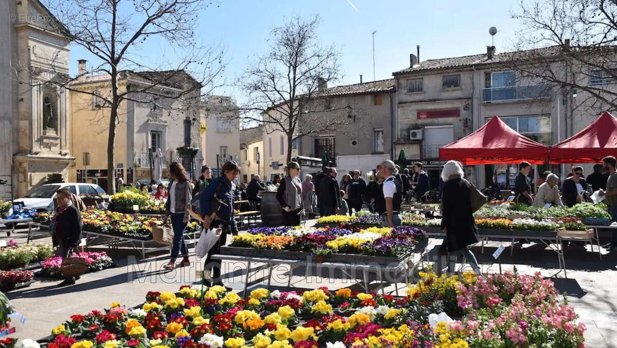Appartement à MAUGUIO
