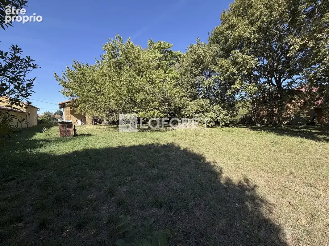 Montech, face au canal : une maison, un terrain de 4 699 m² et autant de projets que vous en imaginerez - photo 3