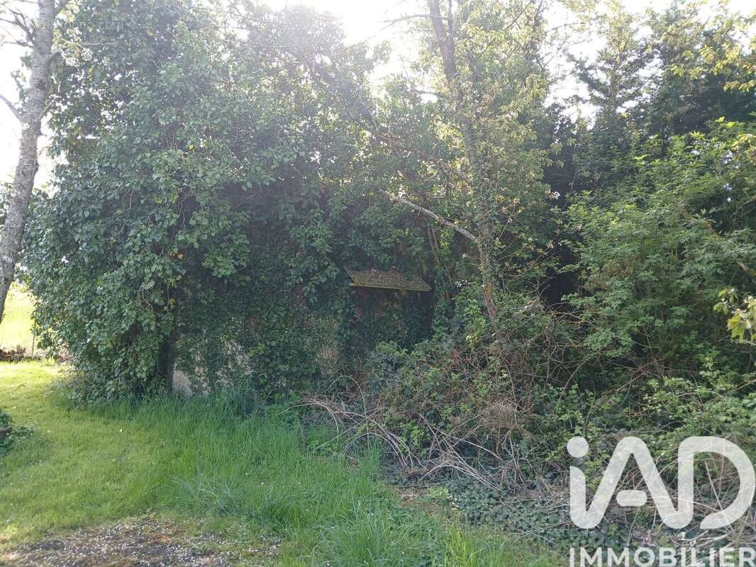 Photo 3 - Terrain à BOISCOMMUN