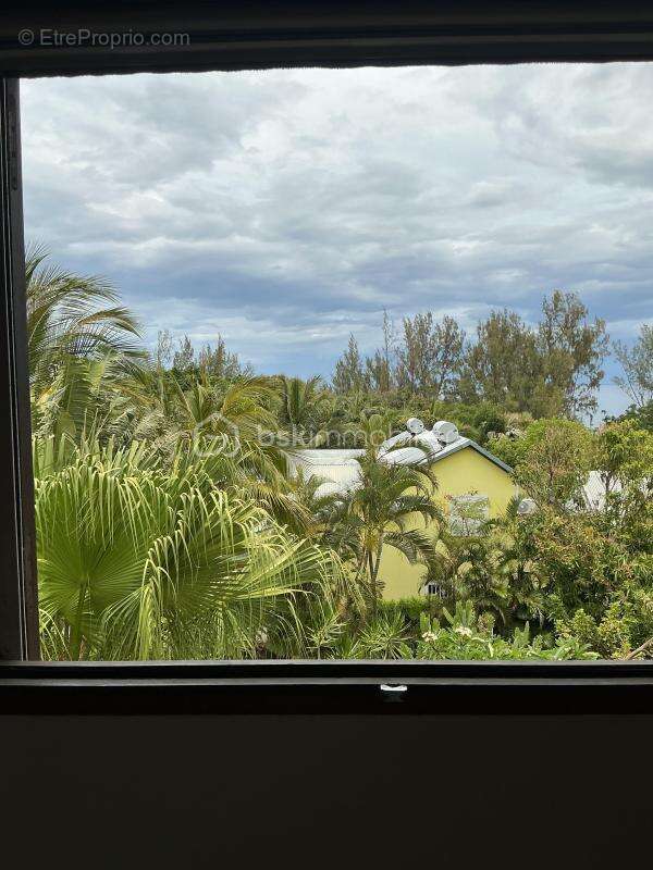 Maison à SAINT-JOSEPH