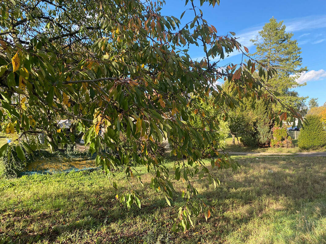 Terrain à FAY-AUX-LOGES