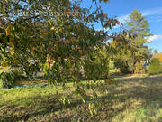 Terrain à FAY-AUX-LOGES