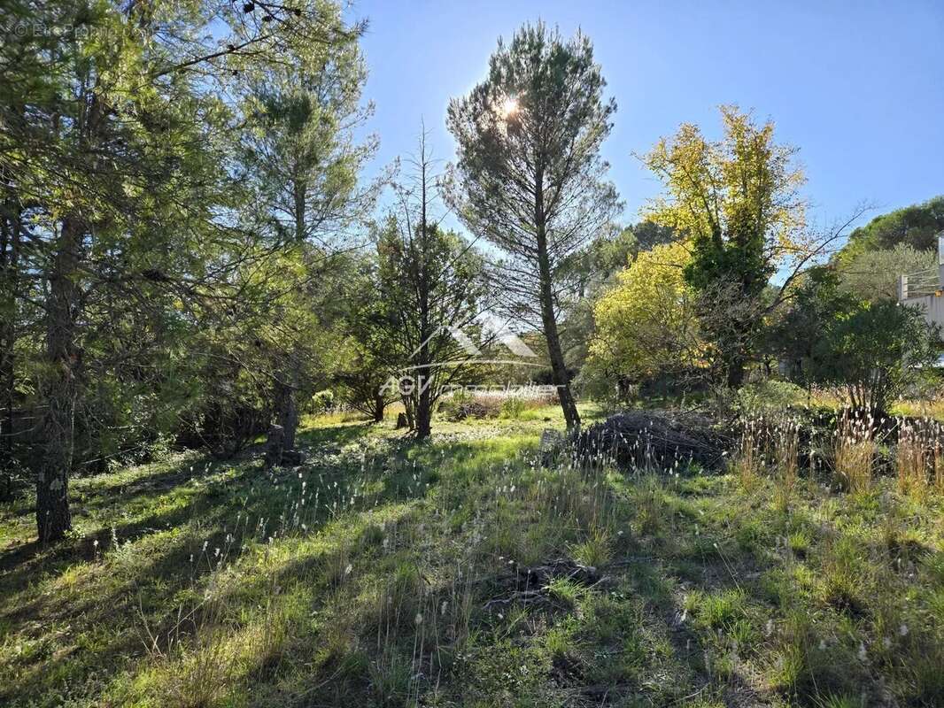 Maison à BOISSET-ET-GAUJAC