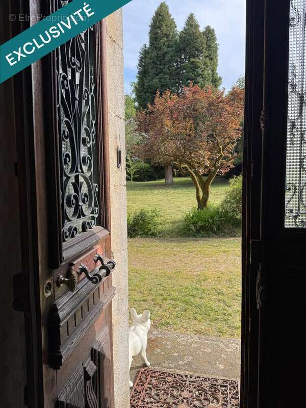 Photo 7 - Maison à CUSSAC