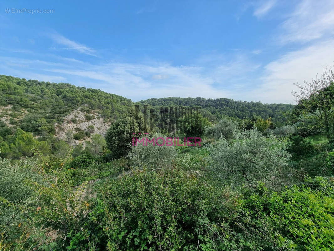 Terrain à LE BARROUX