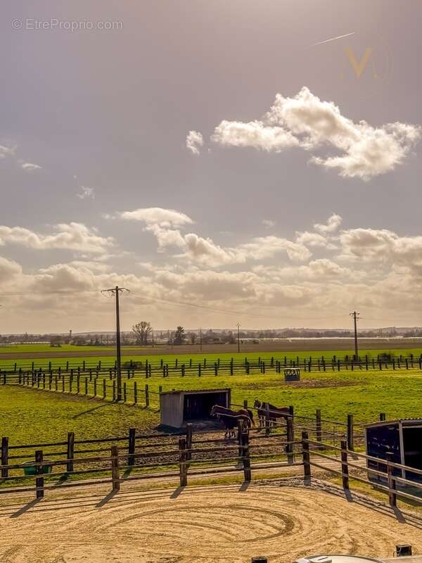 Propriété équestre de standing – Installations haut de gamme – 5 ha – Un bien rare offrant des infrastructures professionnelles, - photo 24