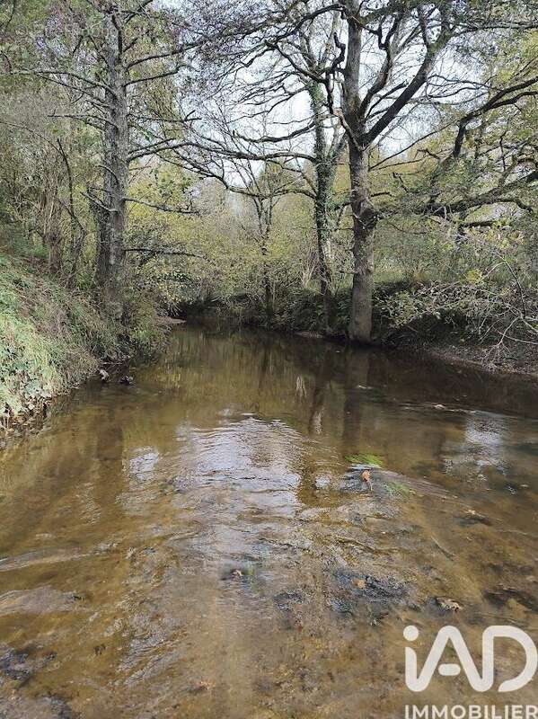 Photo 3 - Terrain à GAJOUBERT