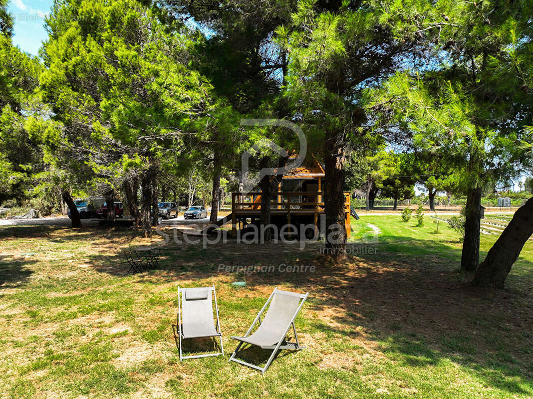 Propriété agricole de 19000m2 sur Saint Cyprien - photo 7