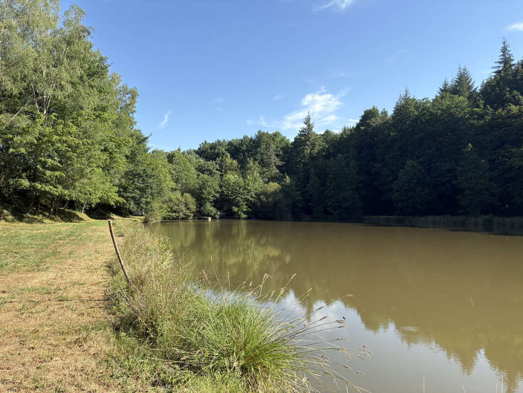 Bussière Galant un étang de loisir avec 1.4 ha de terrain boisé - photo 8