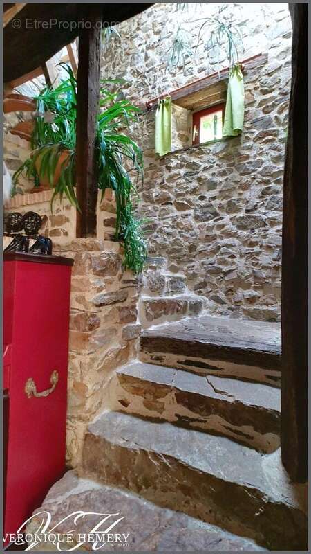 Photo 8 - Maison à LE LION-D'ANGERS