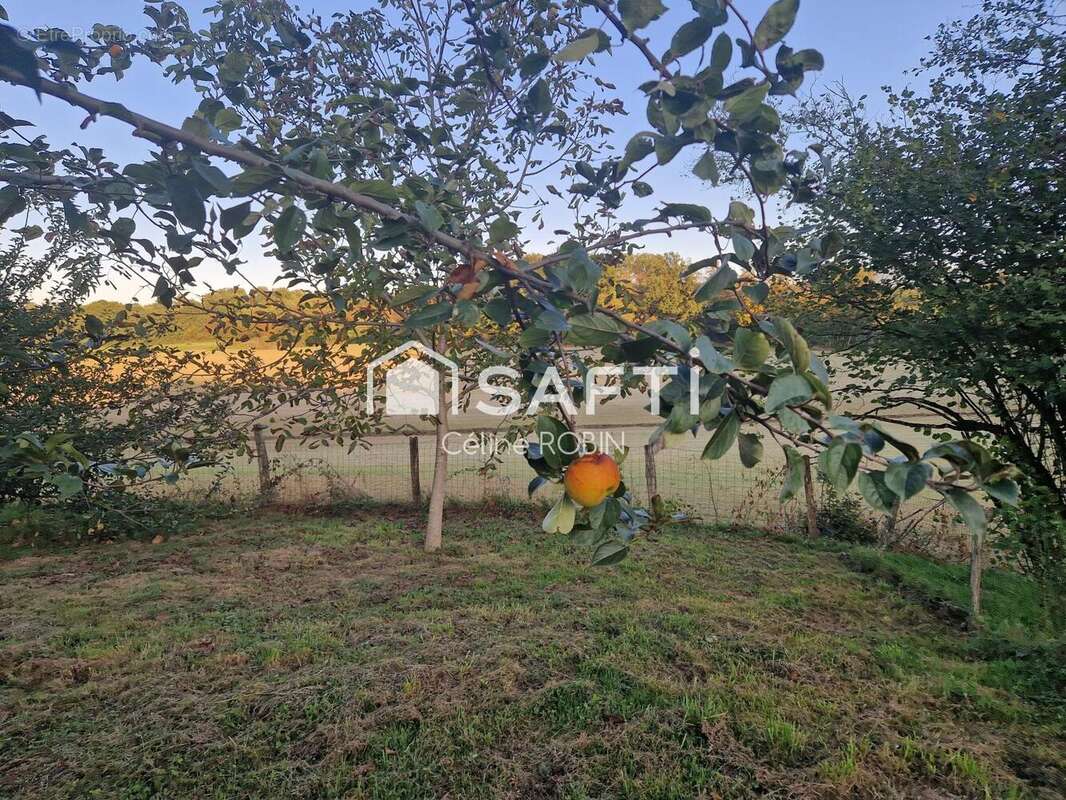 Photo 7 - Maison à LE MIROIR