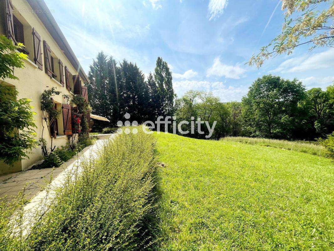 Maison 225 m² à Le Mas-D'azil  - photo 2