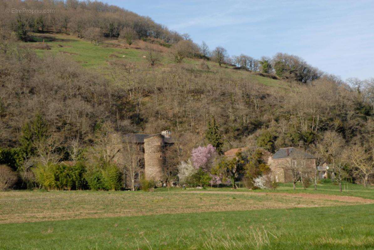 Chateau medieval - photo 20