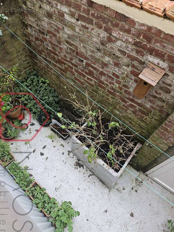 Maison à LE TREPORT