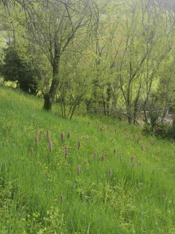 Maison à SAINT-VINCENT-DE-BARRES