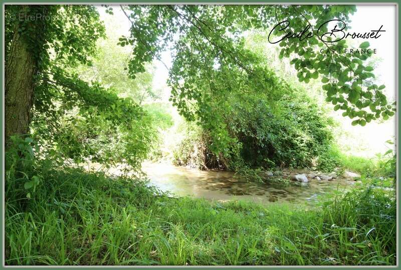Maison de campagne avec accès privé à la rivière SAINT LAURENT DE CERDANS (66260) - photo 15